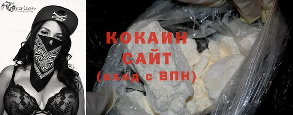 соль ск Алзамай