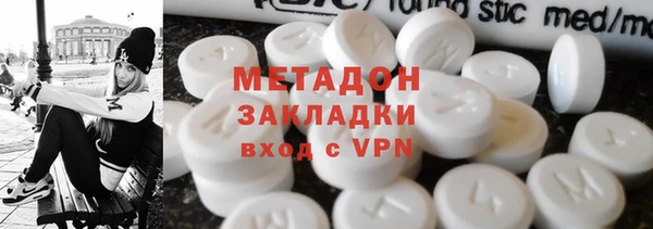 прущие грибы Тавда