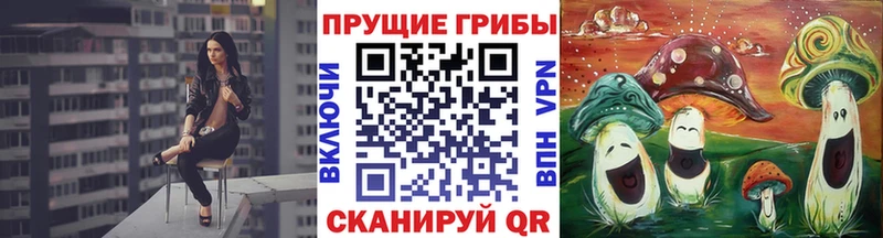Псилоцибиновые грибы Psilocybe Хасавюрт